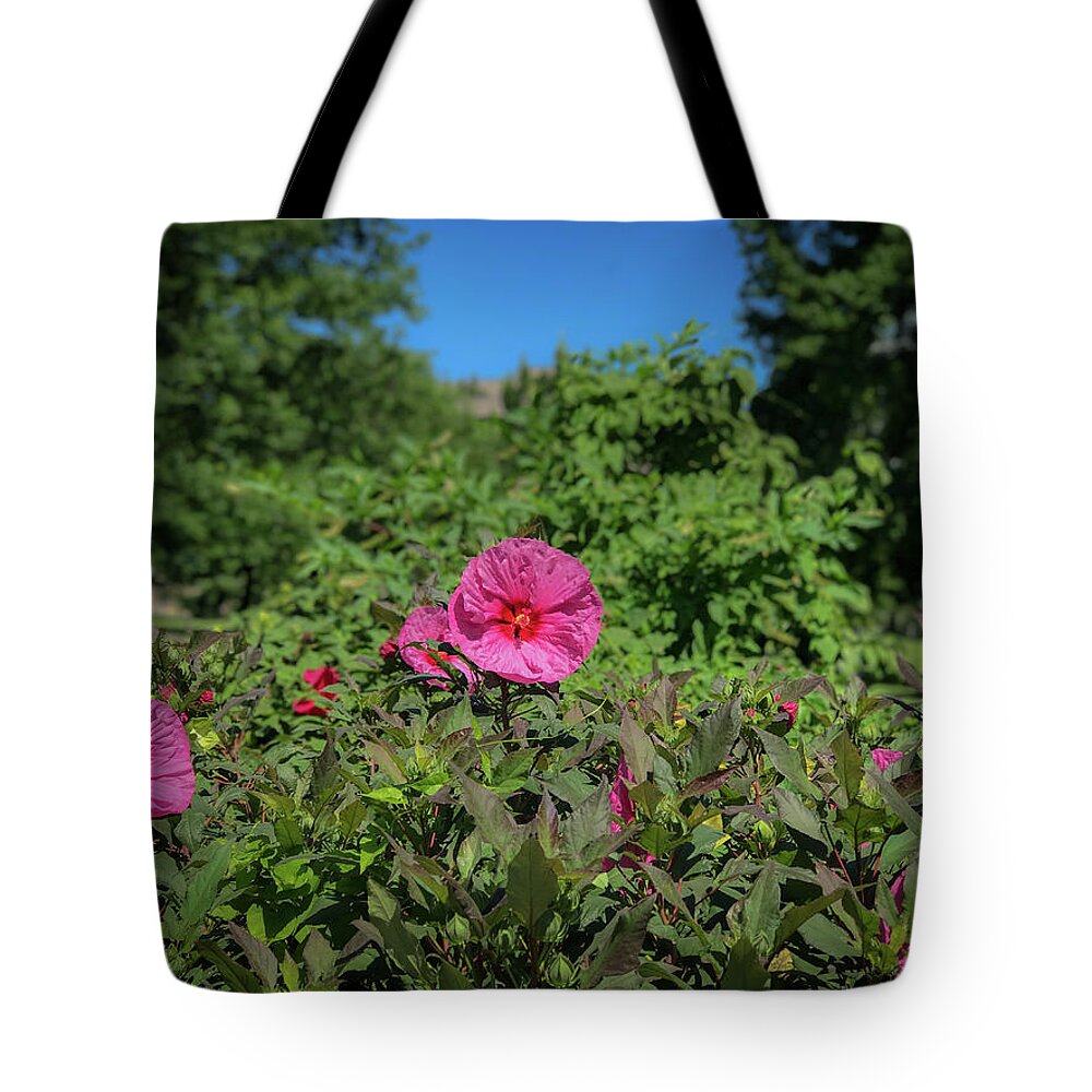 Flowers Tote Bag featuring the photograph Pink by Lora J Wilson