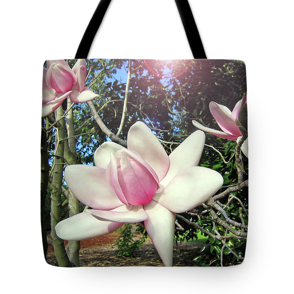 Petal Tote Bag featuring the photograph Pink Magnolia Flower by Jodie Griggs