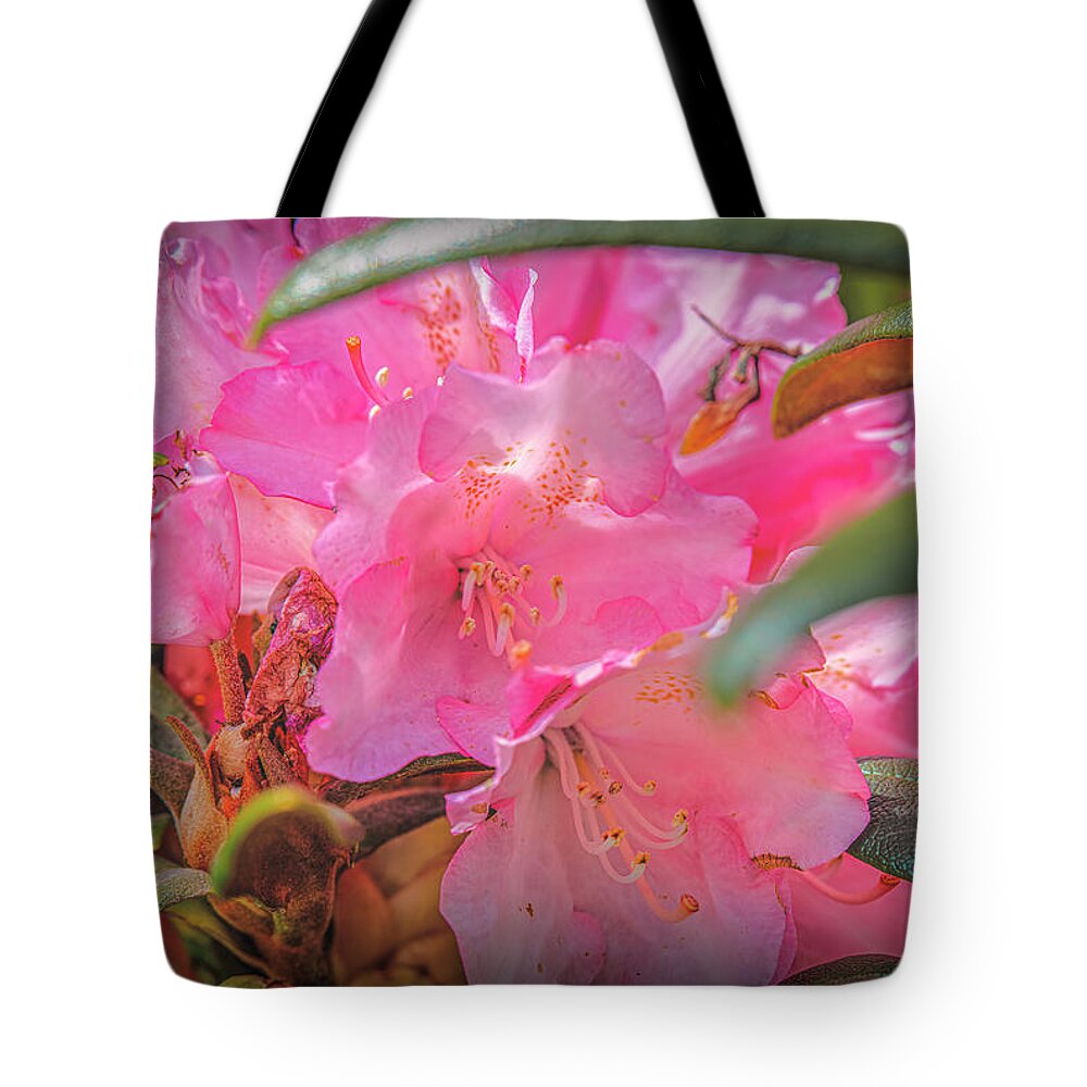 Pink Pink Pink Tote Bag featuring the photograph Pink Pink Pink #i8 by Leif Sohlman