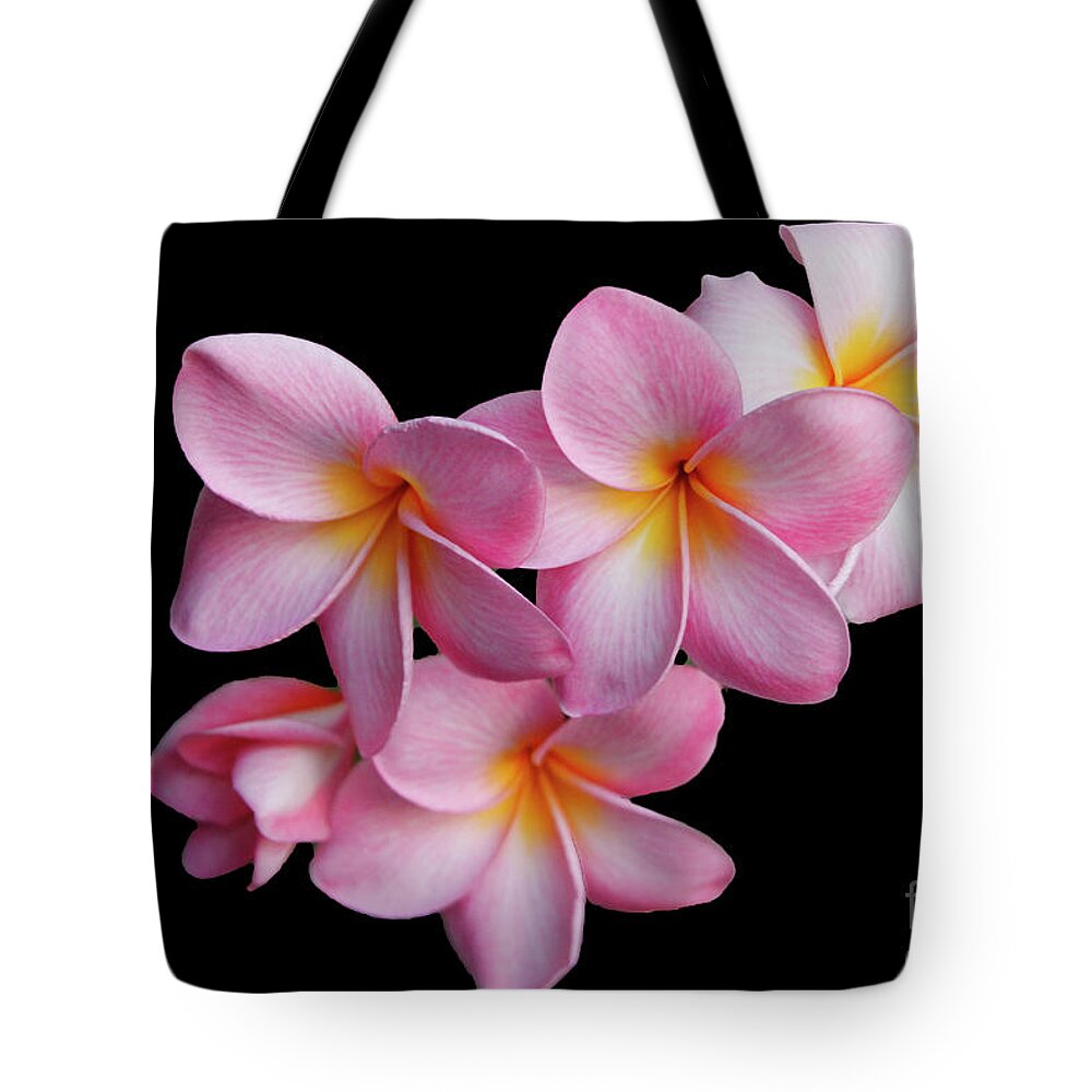 Nature Tote Bag featuring the photograph Pink Plumeria by Mariarosa Rockefeller