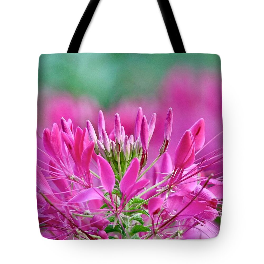 Flower Tote Bag featuring the photograph Pink Queen by Susan Rydberg