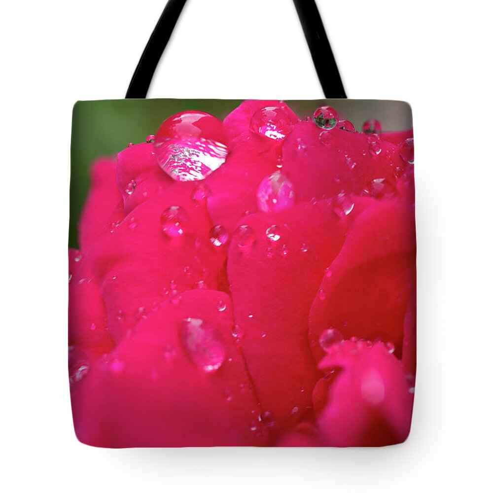 Rose Tote Bag featuring the photograph Pink Rose after Rain by Iris Richardson