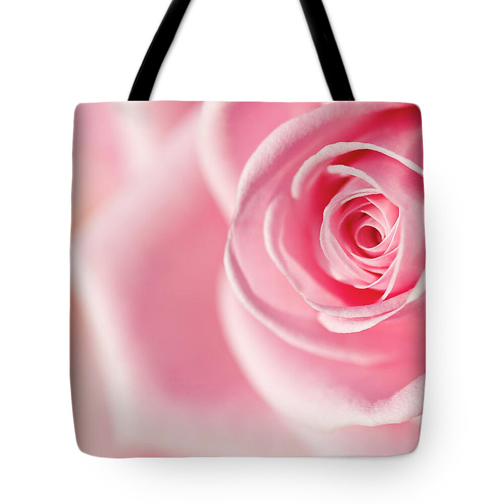 Sweden Tote Bag featuring the photograph Pink Rose Detail by Johan Klovsjö
