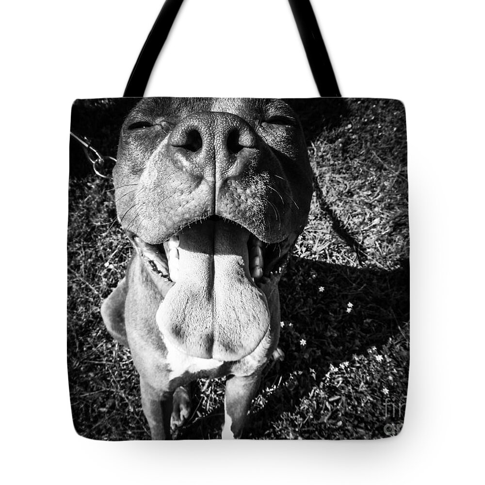 Sea Tote Bag featuring the digital art Pittie 1 by Michael Graham