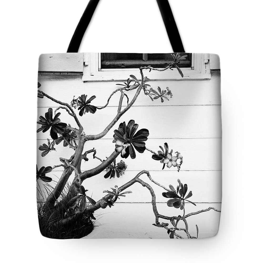 Shutter Tote Bag featuring the photograph Plant In Front Of House by Andreas Kuehn