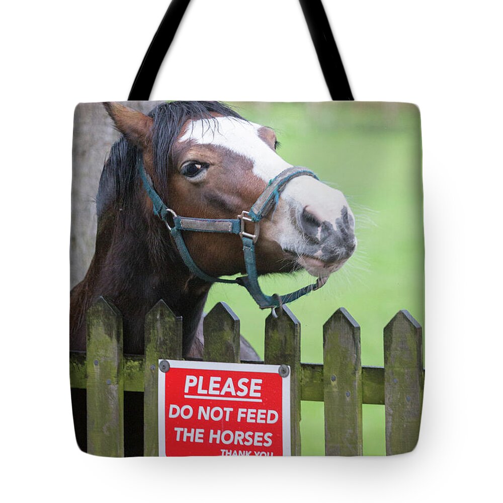 Horse Tote Bag featuring the photograph Please can I have an apple - horse - please do not feed the horses by Anita Nicholson