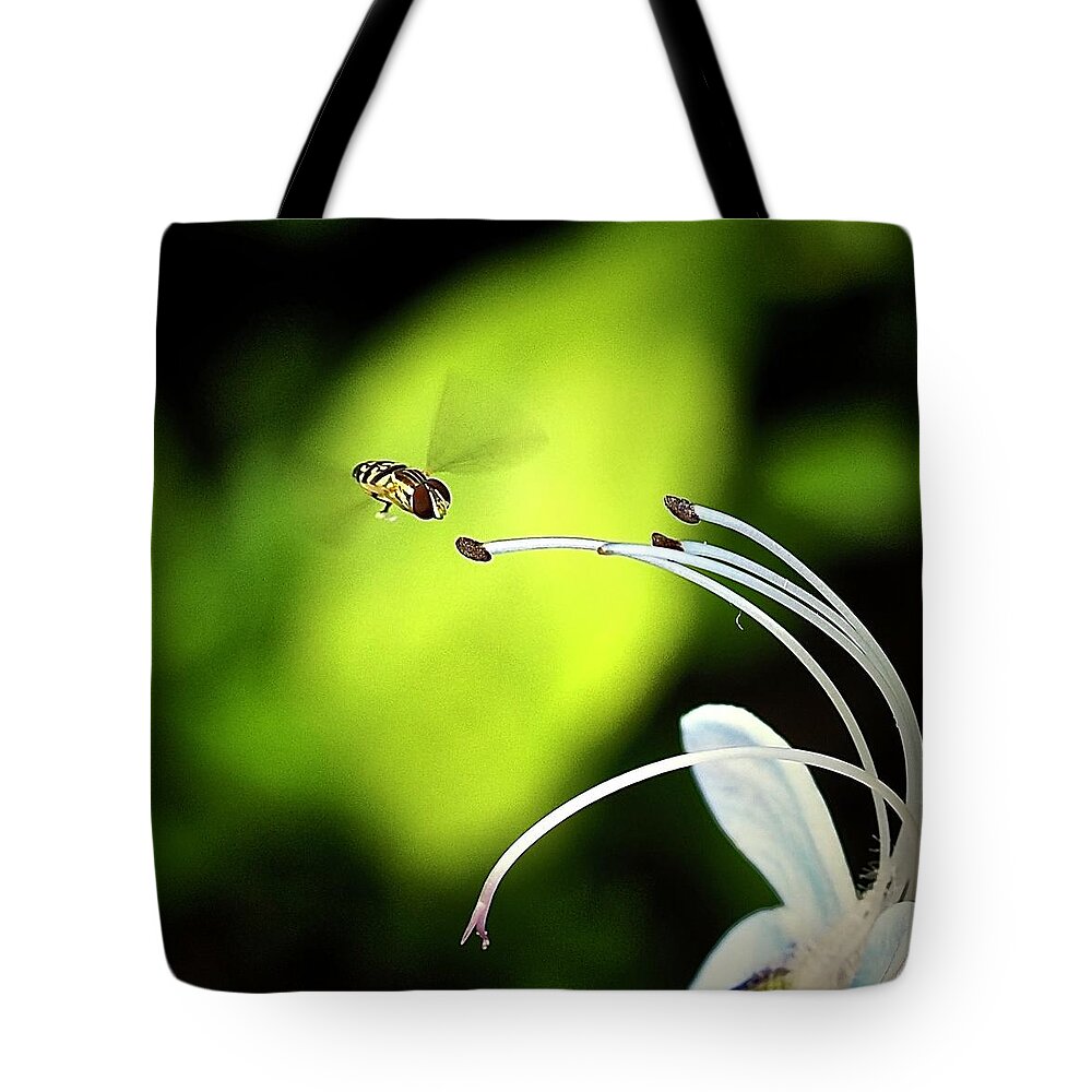 Nature Tote Bag featuring the photograph Please Touch by Alida M Haslett