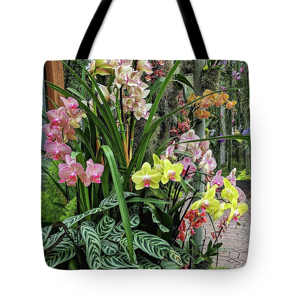 Flower Tote Bag featuring the photograph Plentiful Orchids by Portia Olaughlin