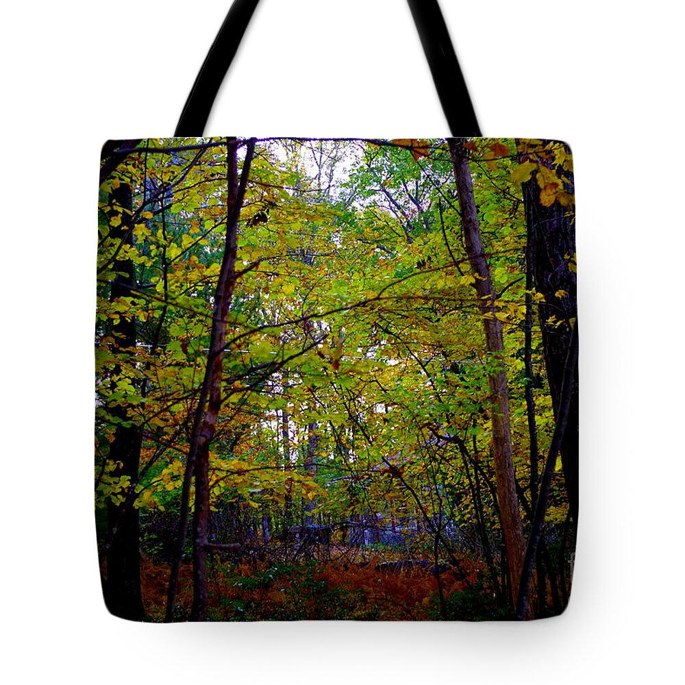 Poconos Autumn Archway In The Forest Tote Bag featuring the photograph Poconos Autumn Archway In The Forest by Barbra Telfer