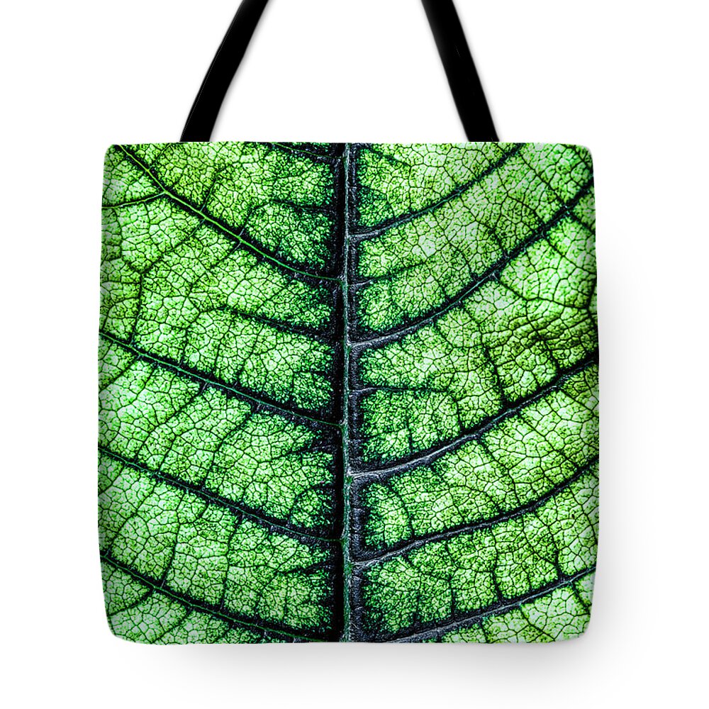 Pointsettia Tote Bag featuring the photograph Poinsetta Leaf in Abstract Macro by Tom Mc Nemar