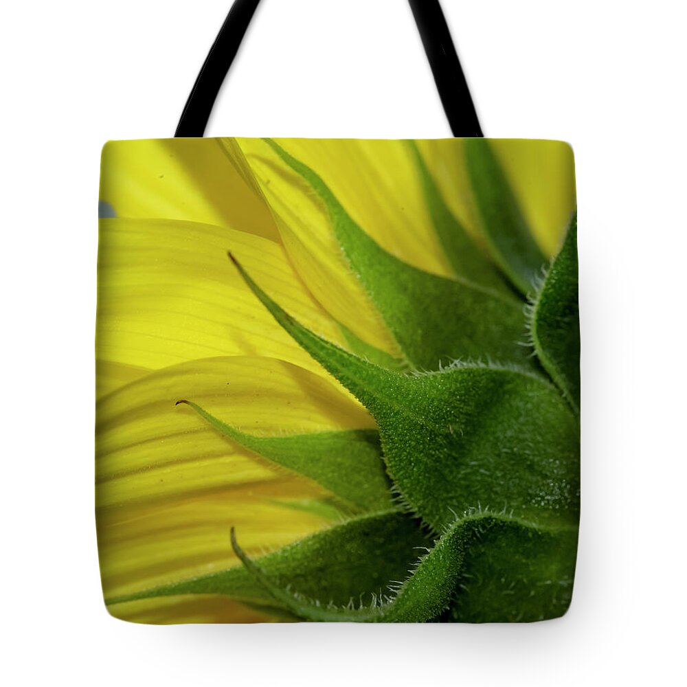 Yellow Tote Bag featuring the photograph Pointed by Cathy Kovarik