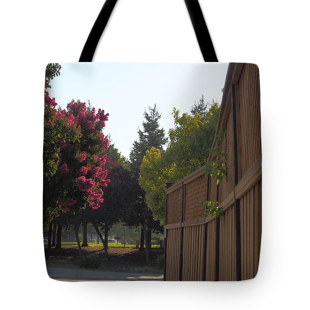 Park Tote Bag featuring the photograph Pointing Toward Autumn by Richard Thomas
