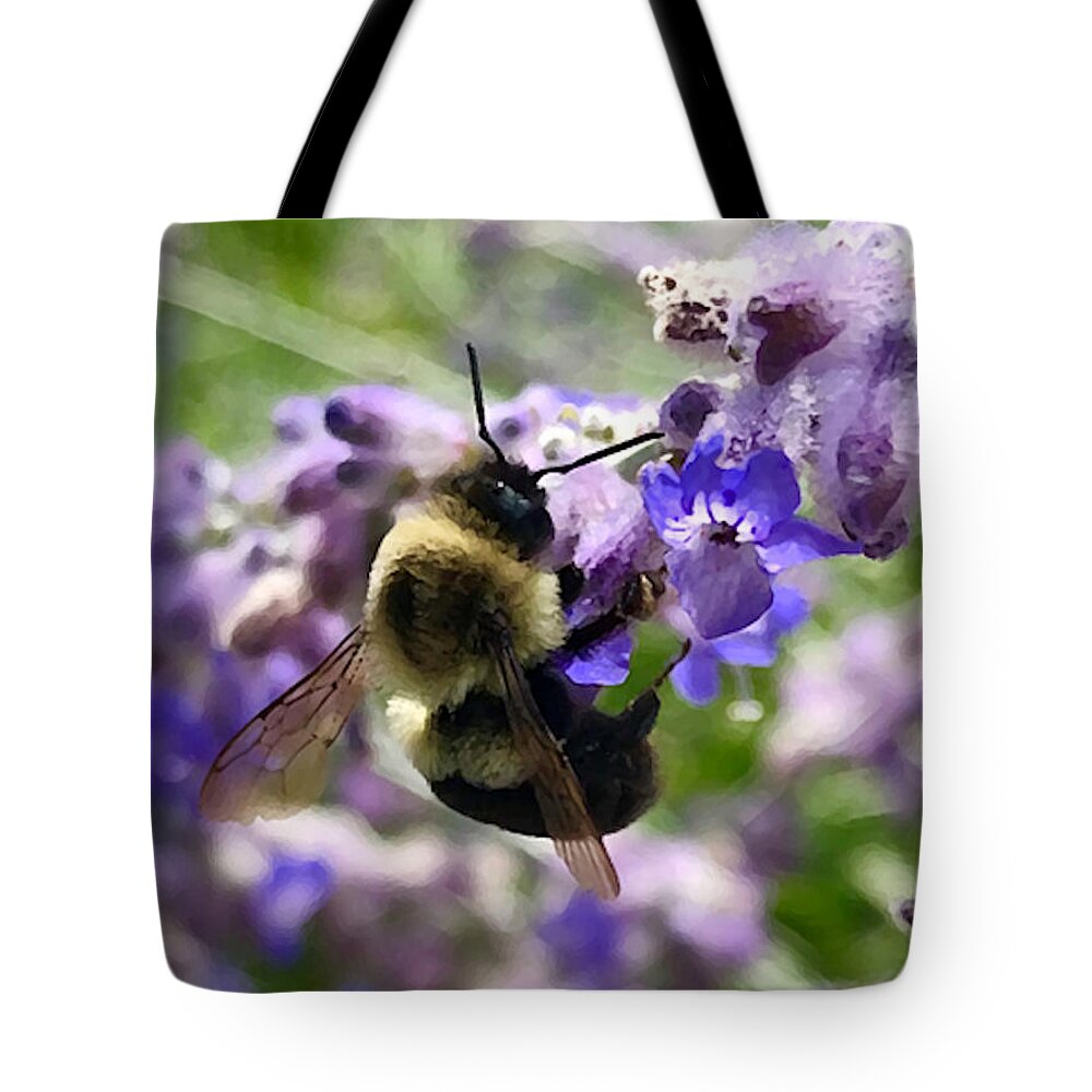 Bumblebee Tote Bag featuring the photograph Pollinator by Tom Johnson