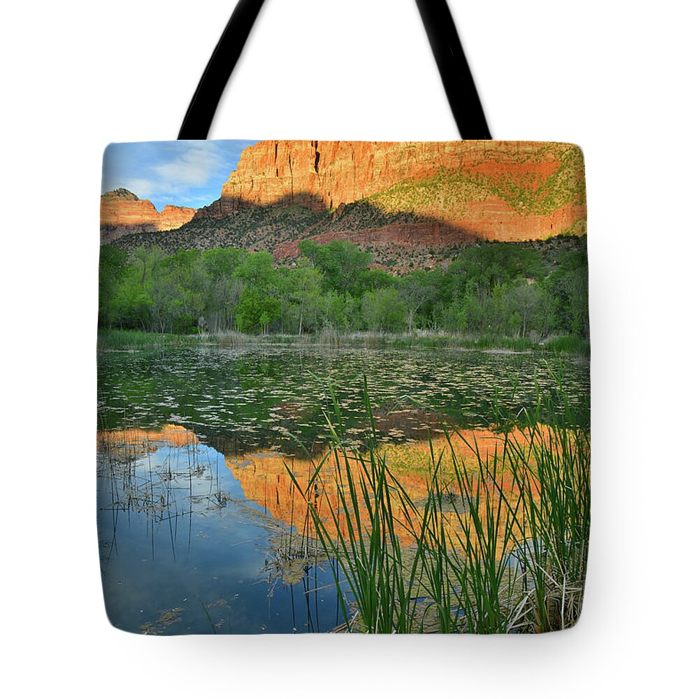 Zion National Park Tote Bag featuring the photograph Pond Reflection of the Watchman in Zion NP by Ray Mathis