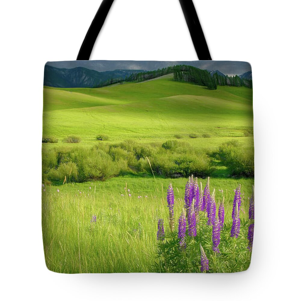 Lupines Tote Bag featuring the photograph Pop of Purple by Marcy Wielfaert