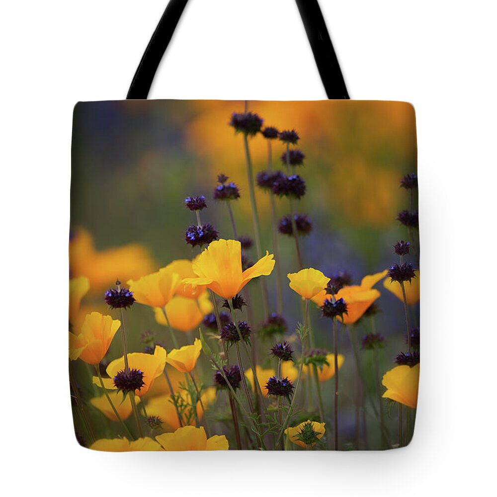 Wildflowers Tote Bag featuring the photograph Poppies And Desert Chia by Saija Lehtonen