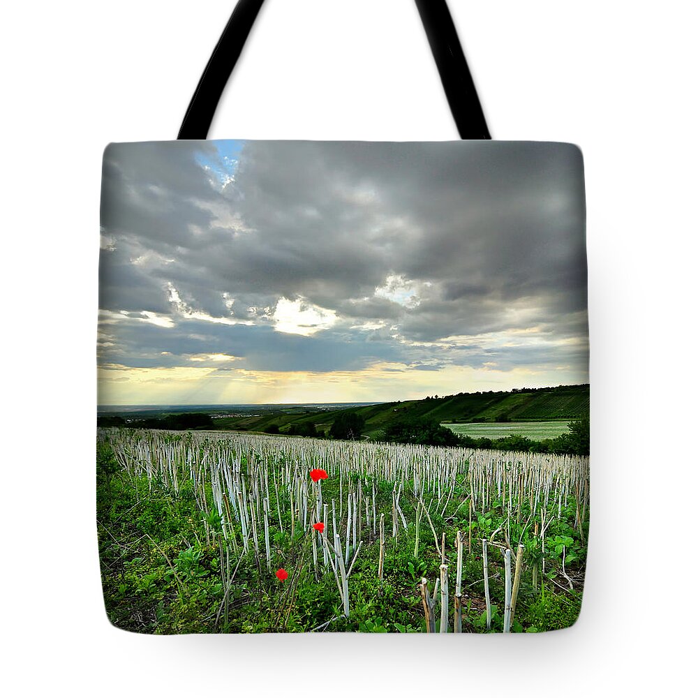 Tranquility Tote Bag featuring the photograph Poppies by Andy Brandl