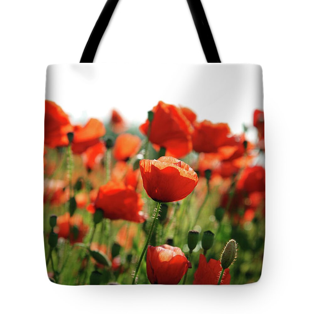 Outdoors Tote Bag featuring the photograph Poppy Field by Mattjeacock