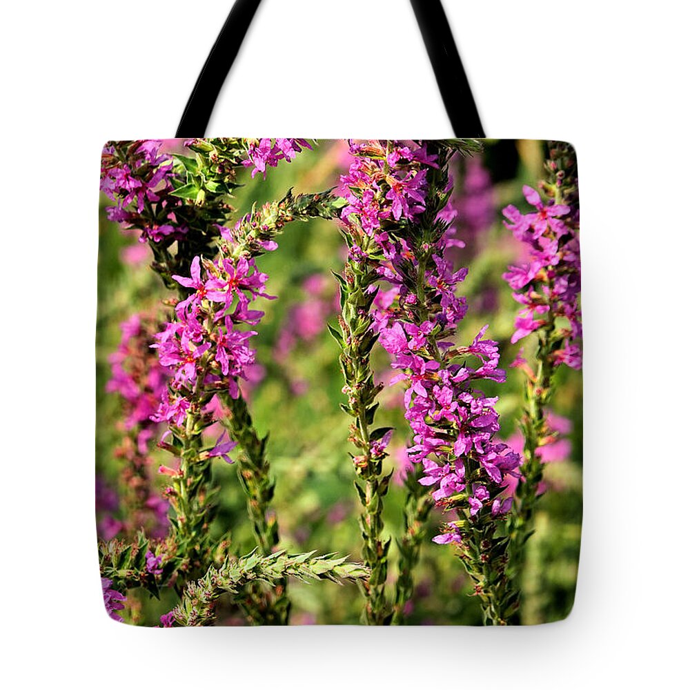 Delphinium Tote Bag featuring the photograph Potomac Summer No.1 by Steve Ember