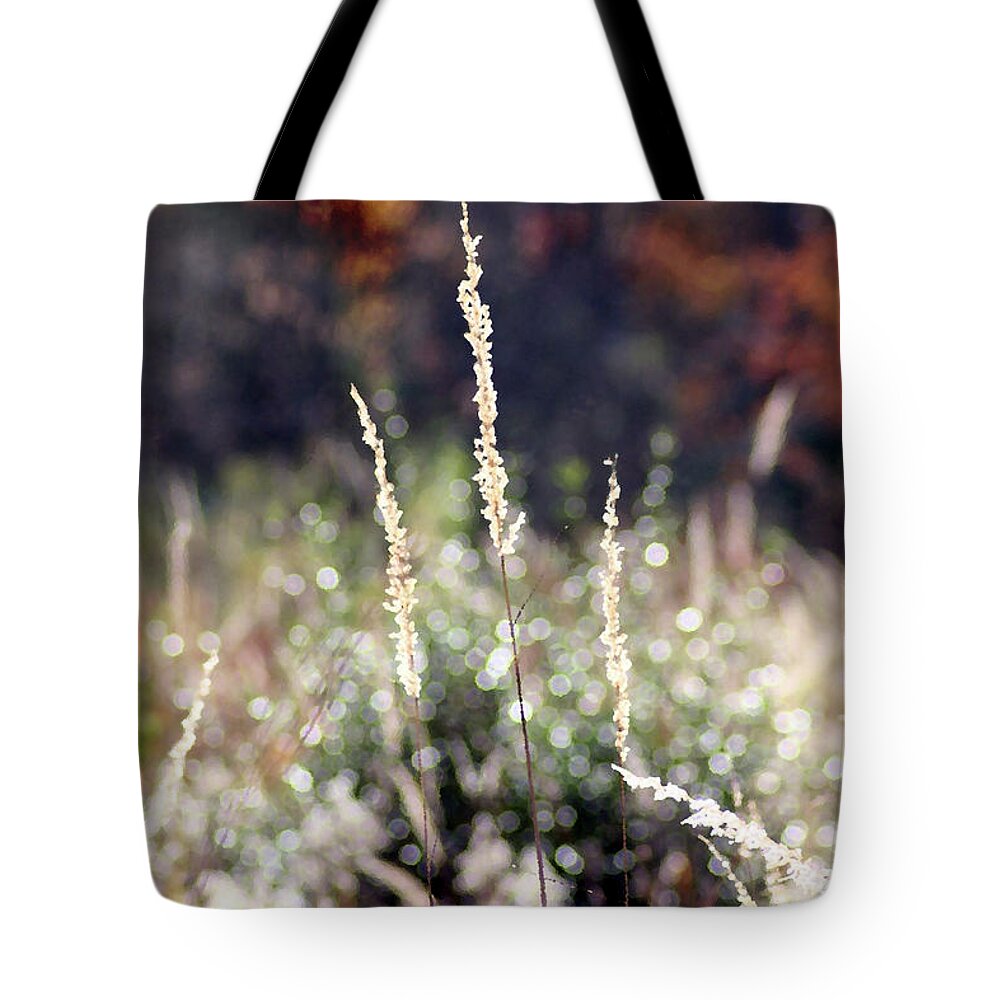 Nature Tote Bag featuring the mixed media Prairie Autumn Composition by Steve Karol