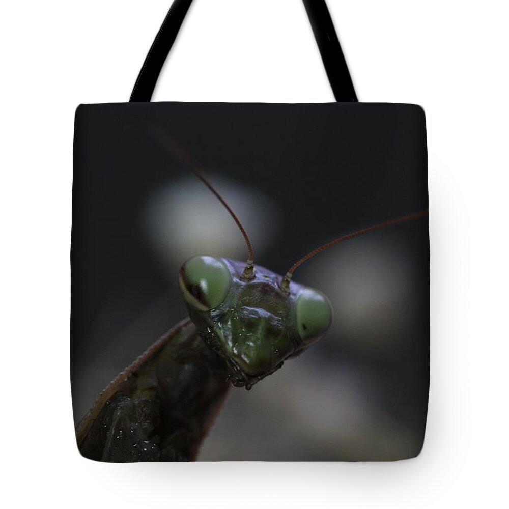 Mantis Tote Bag featuring the photograph Praying mantis by Martin Smith