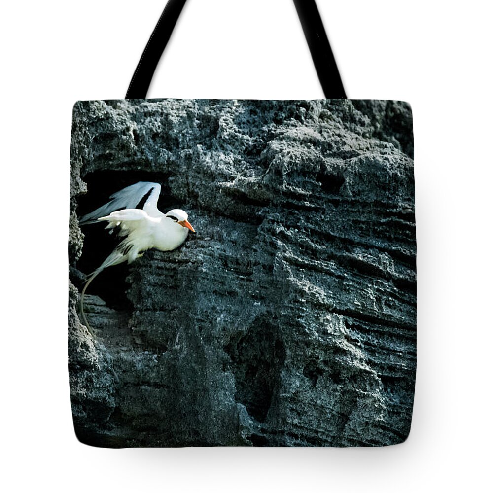 Atlantic Tote Bag featuring the photograph Prepare for Departure by Jeff at JSJ Photography