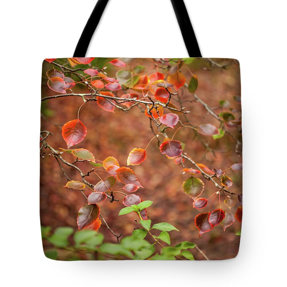 Autumn Leaves Tote Bag featuring the photograph Prepping For Winter by Az Jackson