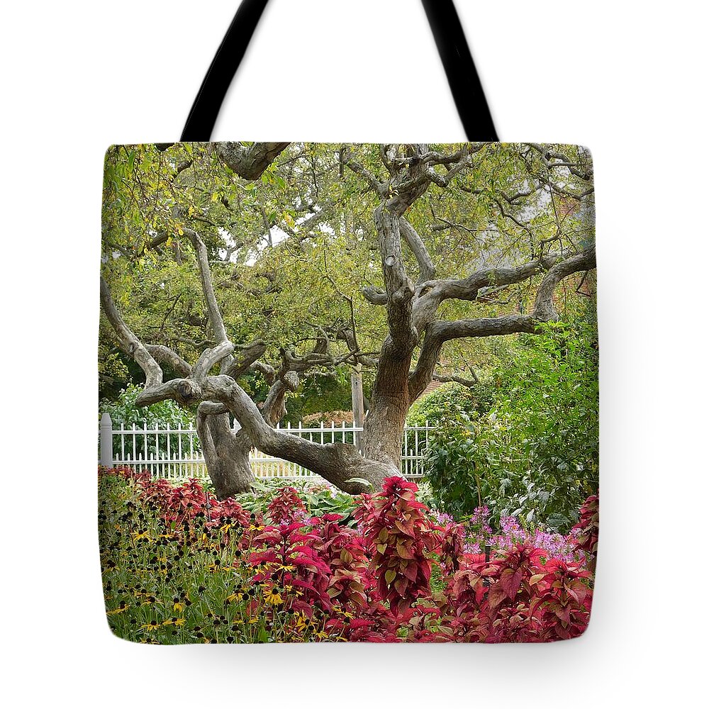 Tree Tote Bag featuring the photograph - Prescott Tree, Portsmouth NH by THERESA Nye