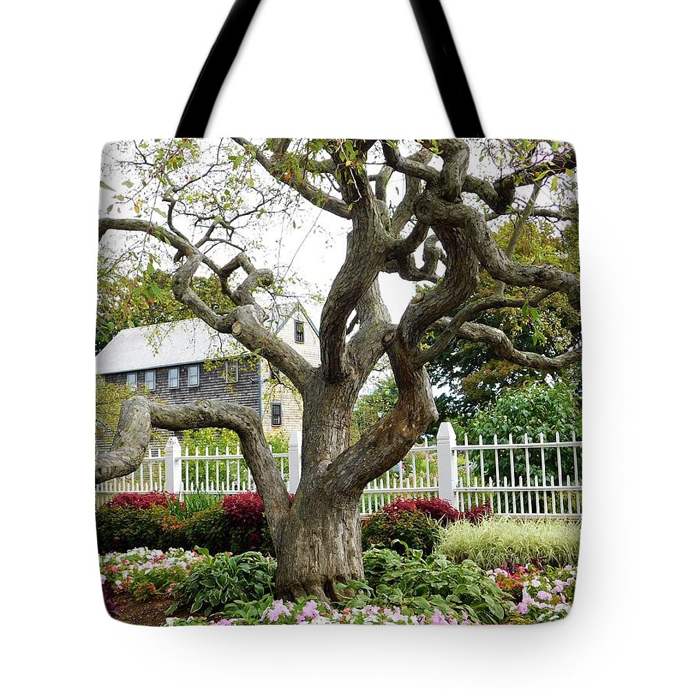 Tree Tote Bag featuring the photograph - Prescott Tree with House by THERESA Nye