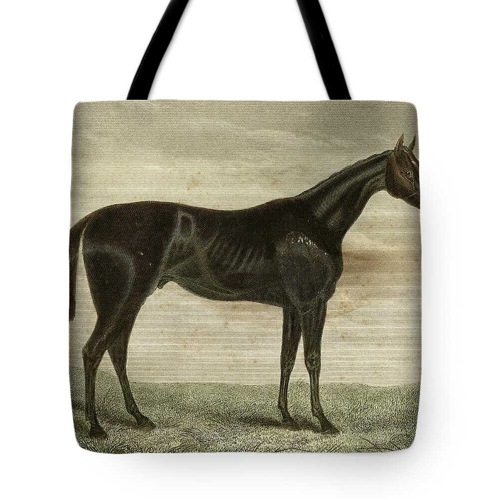 Professional Tote Bag featuring the painting Pretender by Unknown