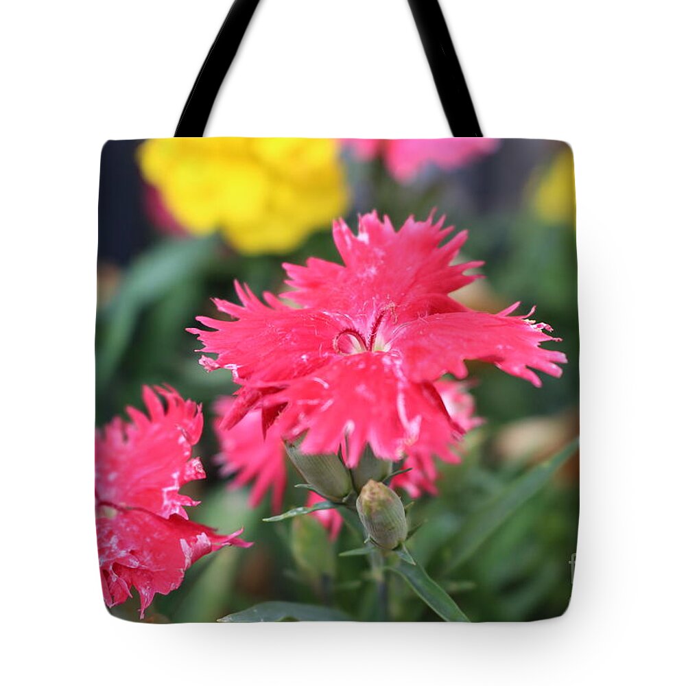 Pretty In Pink Tote Bag featuring the photograph Pretty In Pink by Barbra Telfer