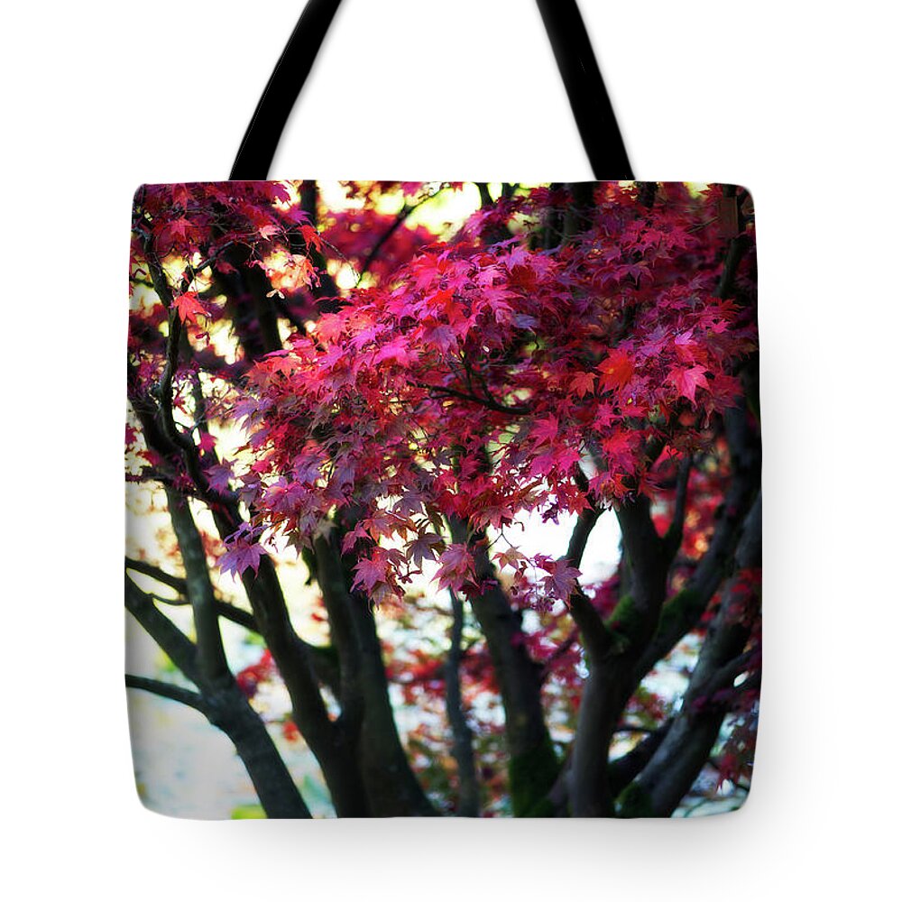 Autumn Colors Tote Bag featuring the photograph Pretty in Red by Venetta Archer