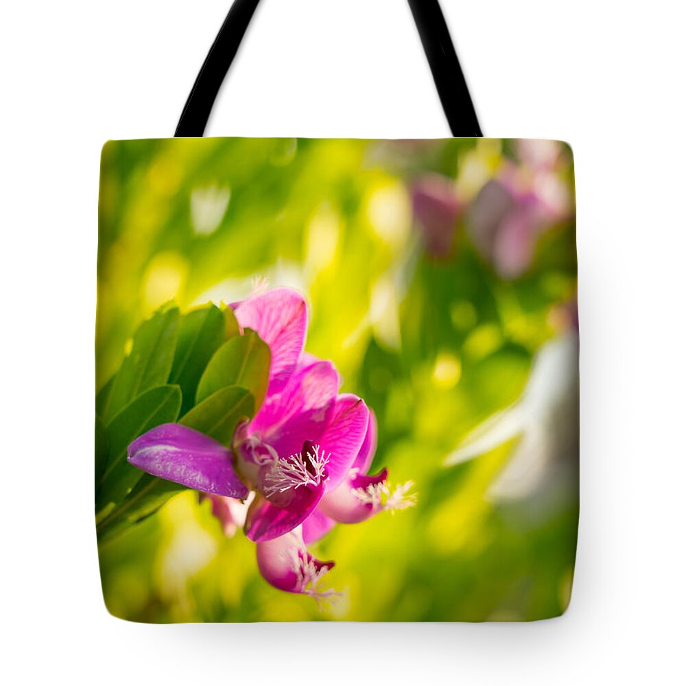 Flowers Tote Bag featuring the photograph Pretty Picture by Derek Dean