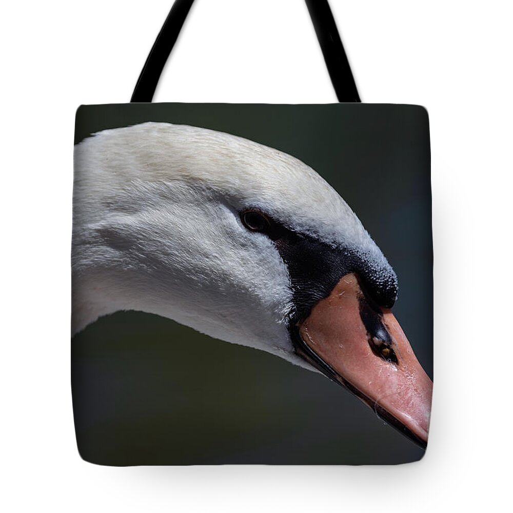 Photography Tote Bag featuring the photograph Pretty Swan Portrait by Alma Danison