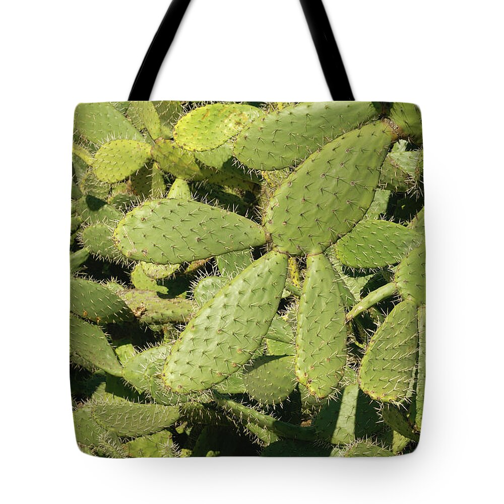 Sharp Tote Bag featuring the photograph Prickly Pear Cactus Opuntia Spec by Martin Ruegner