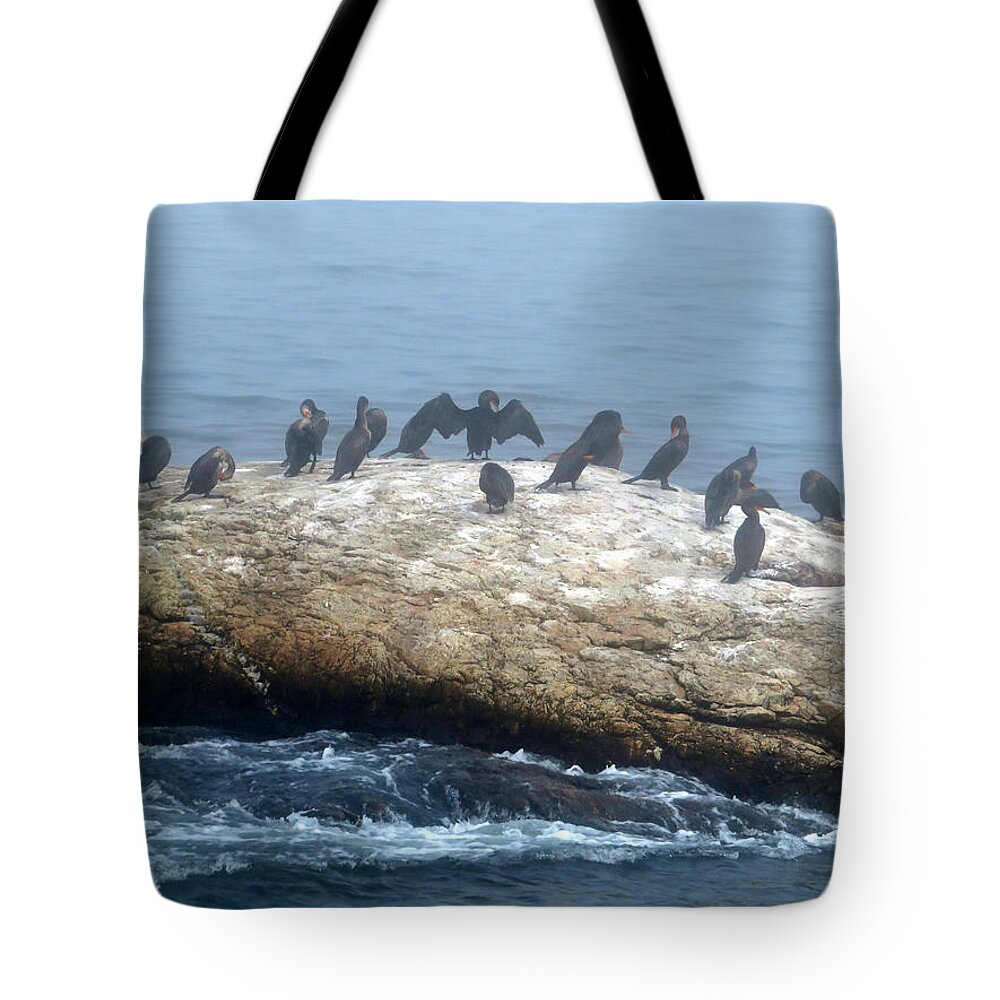 New Hampshire Tote Bag featuring the photograph Primping and Preening by Vicky Edgerly