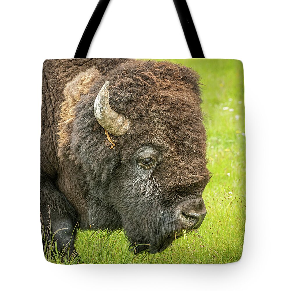 Photography Tote Bag featuring the photograph Profile of an American Bison by Constance Puttkemery
