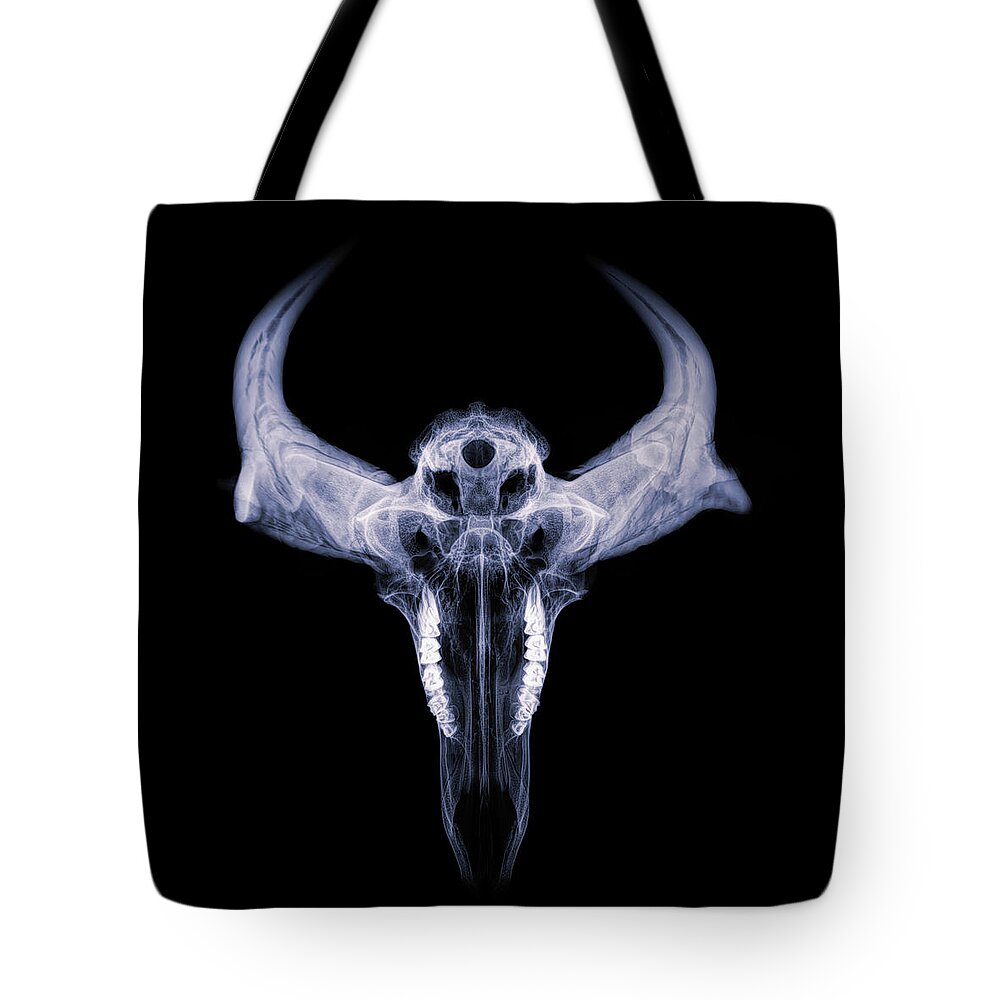 Kansas Tote Bag featuring the photograph Pronghorn x-ray 01 by Rob Graham