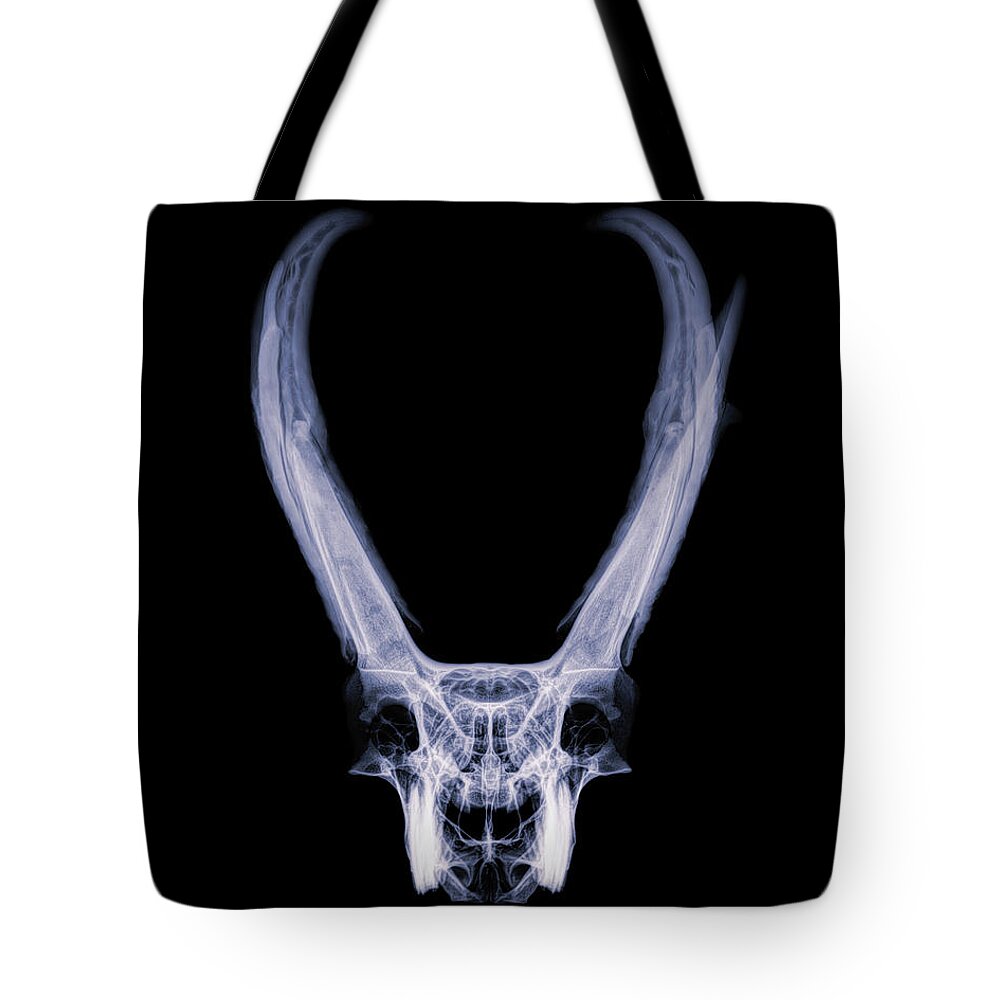 Kansas Tote Bag featuring the photograph Pronghorn x-ray 02 by Rob Graham