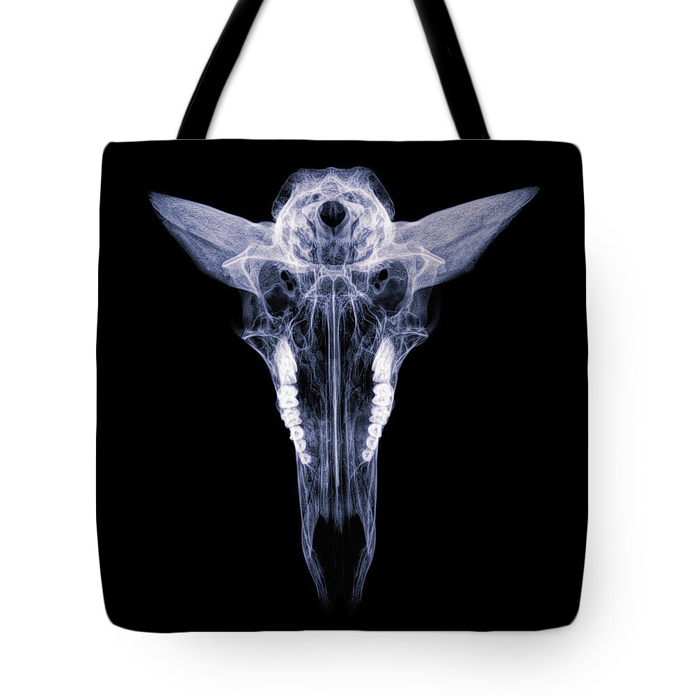 Kansas Tote Bag featuring the photograph Pronghorn x-ray 04 by Rob Graham