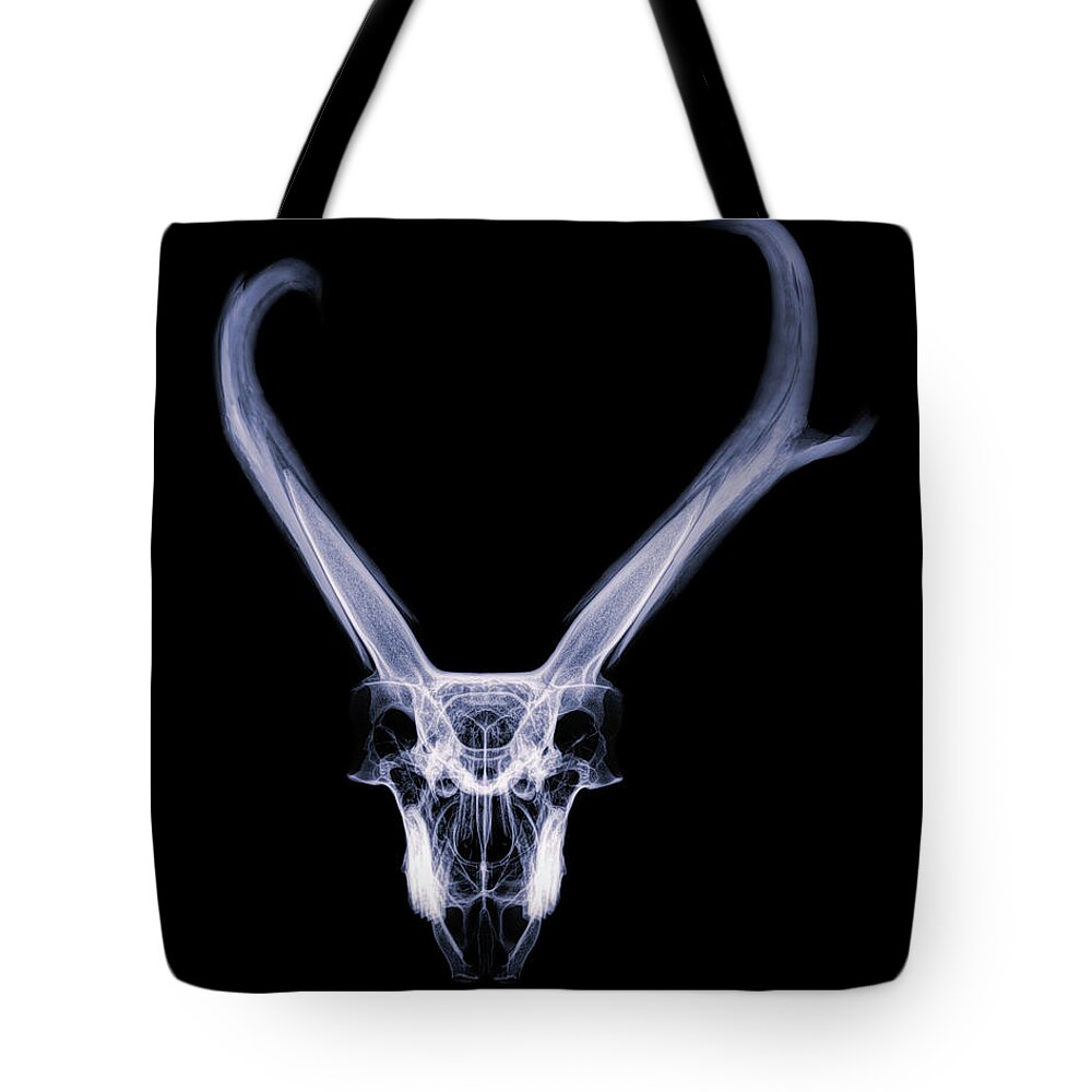 Kansas Tote Bag featuring the photograph Pronghorn x-ray 06 by Rob Graham