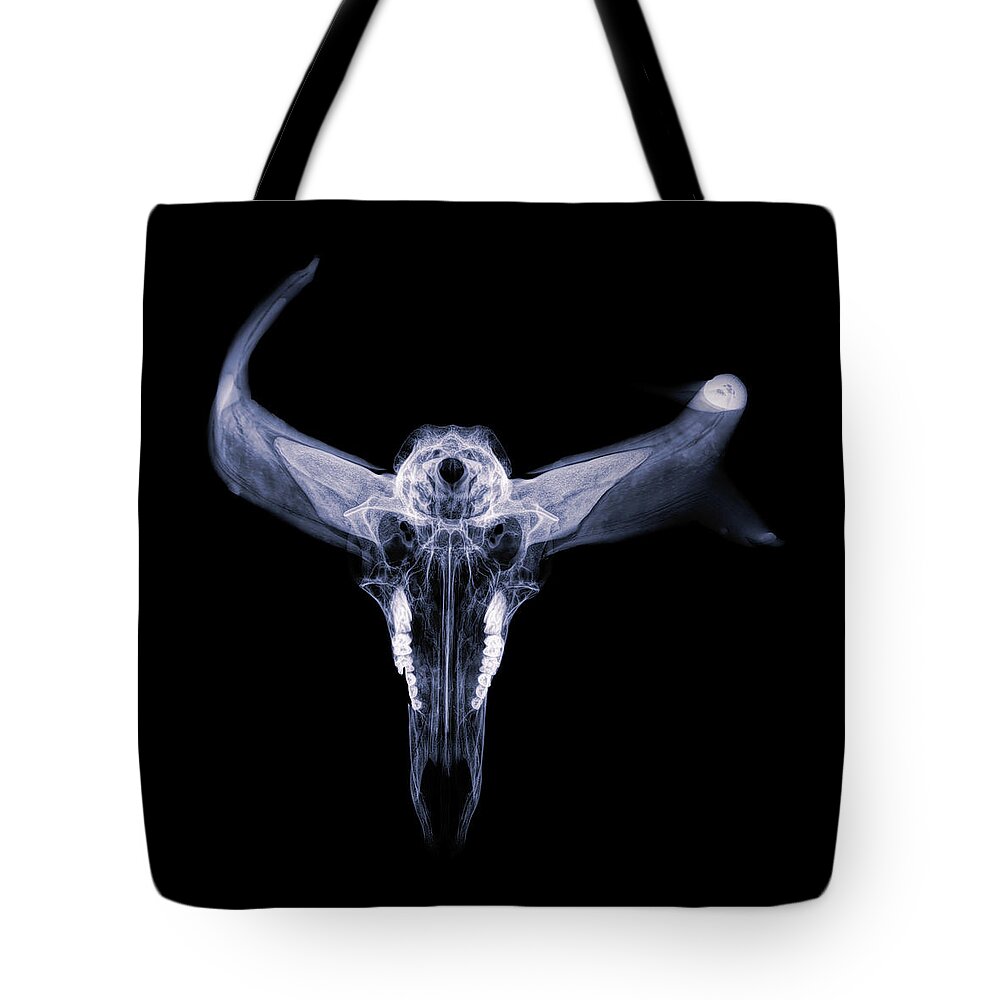 Kansas Tote Bag featuring the photograph Pronghorn x-ray 07 by Rob Graham