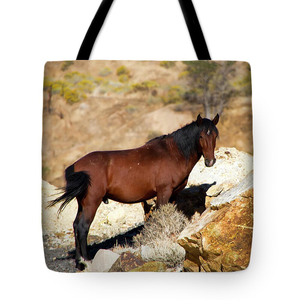 Horse Tote Bag featuring the photograph Proud wild bay stallion by Waterdancer