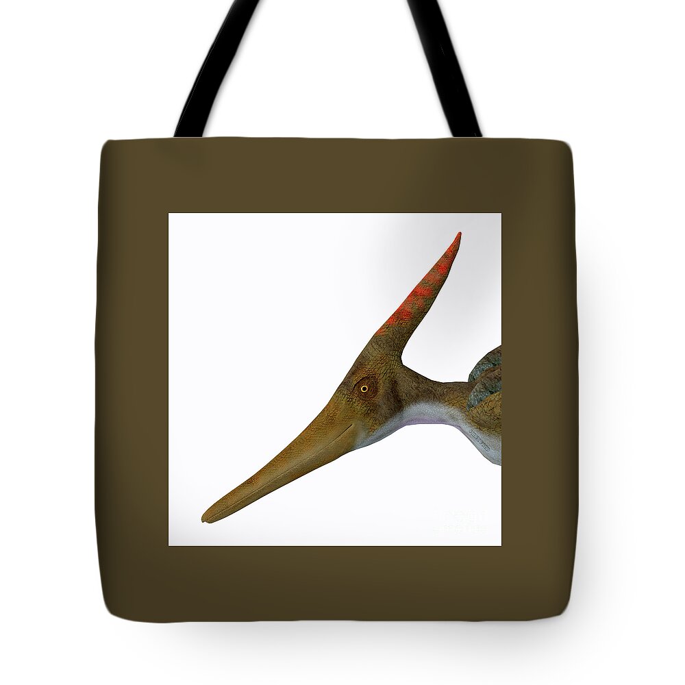 Pteranodon Tote Bag featuring the digital art Pteranodon Reptile Head by Corey Ford