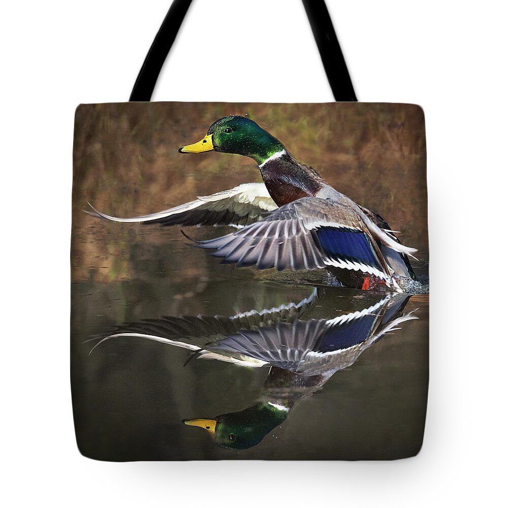 Duck Tote Bag featuring the photograph Puddle Jump Reflection by Art Cole