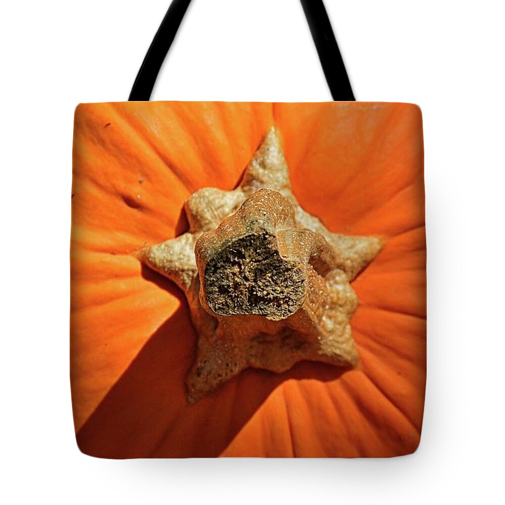 Pumpkin 2 Tote Bag featuring the photograph Pumpkin 2 by Lisa Wooten