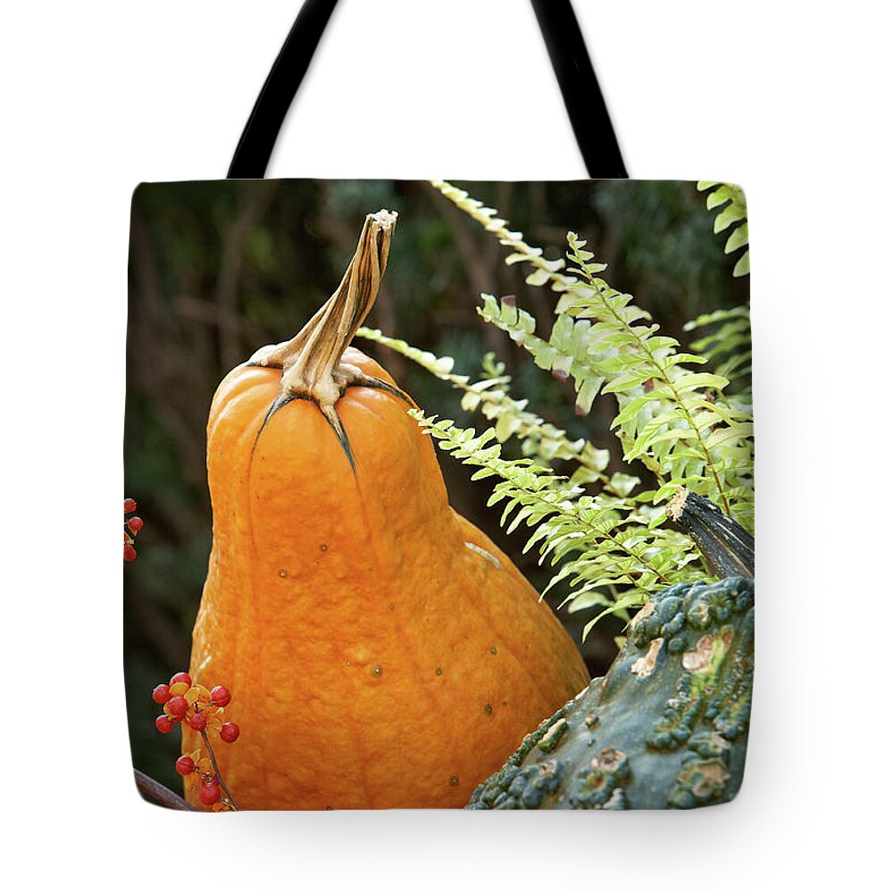 Garden Tote Bag featuring the photograph Pumpkin power by Garden Gate magazine