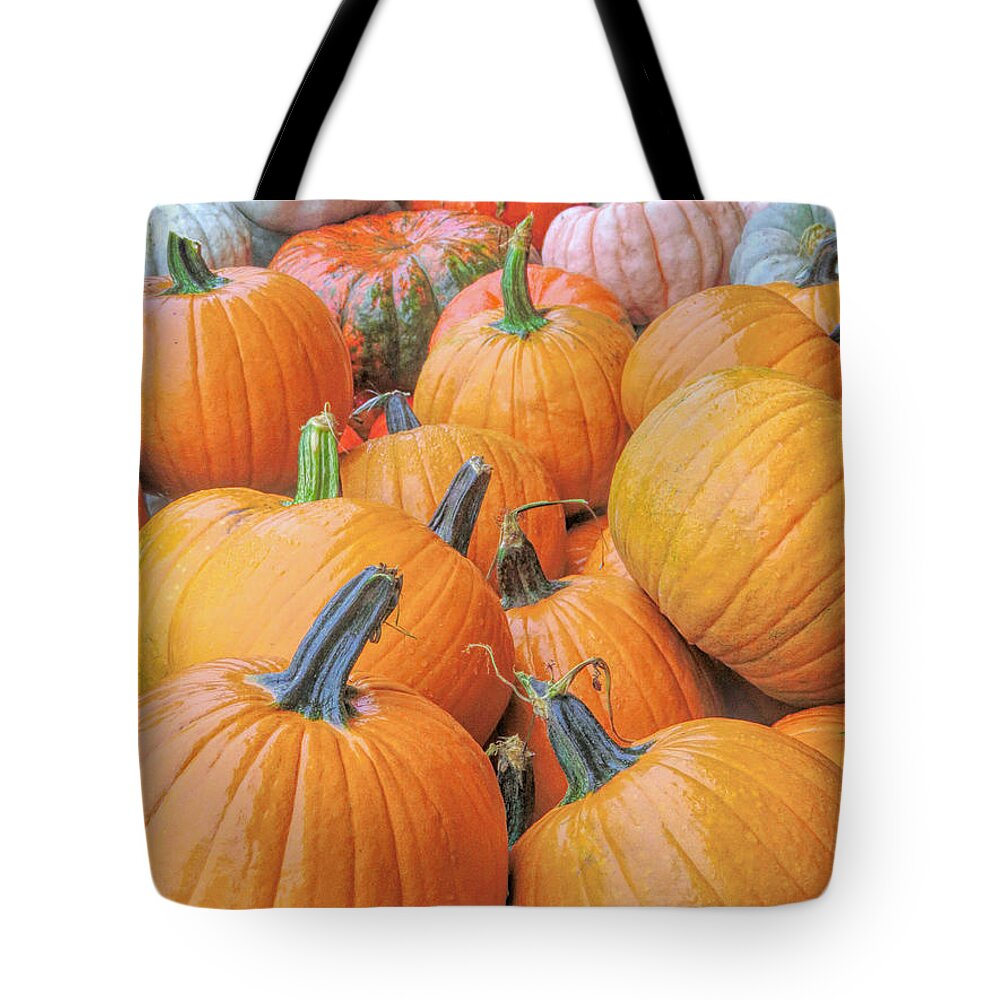 Pumpkins Tote Bag featuring the photograph Pumpkin Variety by Janice Drew