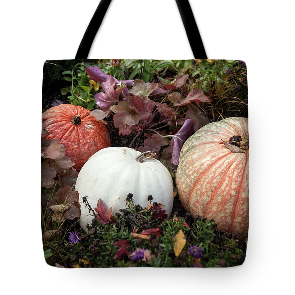 Fall Tote Bag featuring the photograph Pumpkins by Timothy Johnson