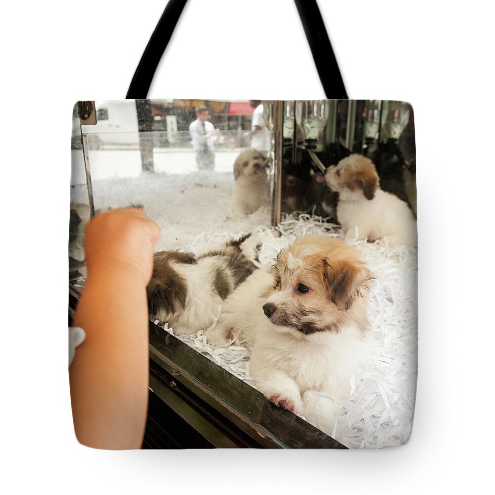 Estock Tote Bag featuring the digital art Puppies In Store Window by Giovanni Simeone